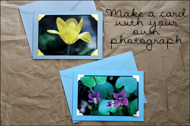 Making Greeting Cards With Photos And Some Pictures Of Our Flowers 